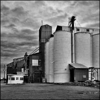 Willows Ag Buildings - March 1, 2014_0029